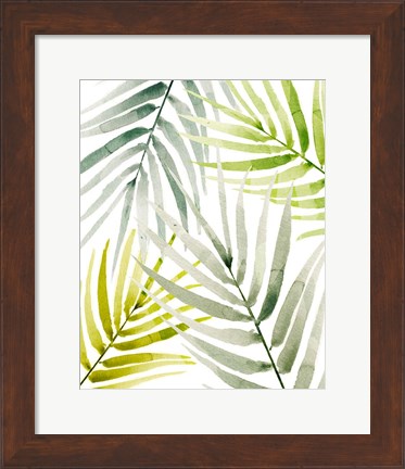 Framed Shady Palm I Print