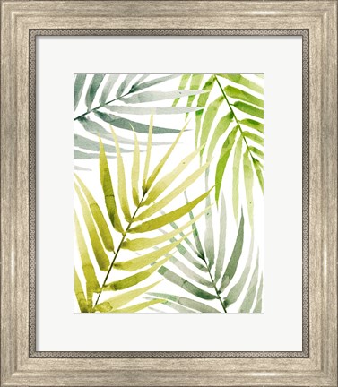 Framed Shady Palm II Print