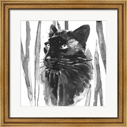 Framed Still Cat I Print