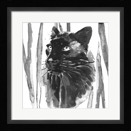 Framed Still Cat I Print