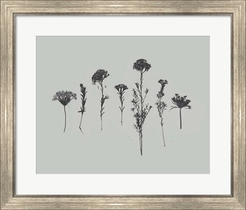 Framed Wildflower Memory II Print