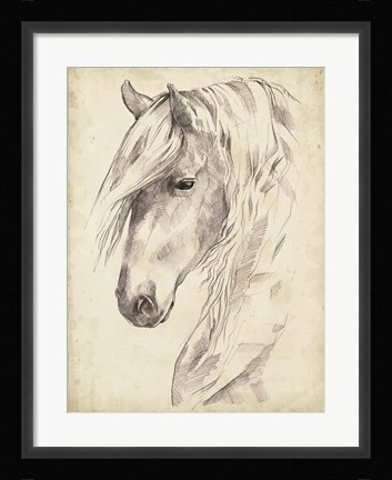 Framed Horse Portrait Sketch II Print