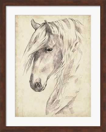 Framed Horse Portrait Sketch II Print