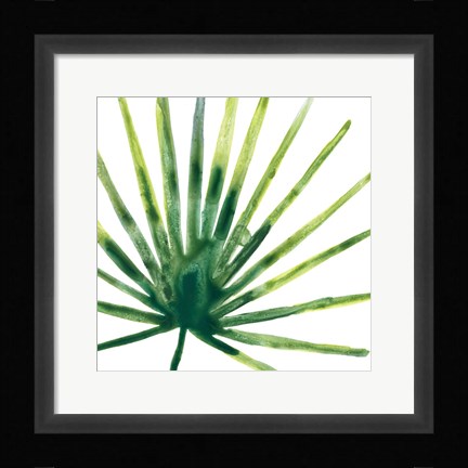 Framed Tropical Jewel I Print