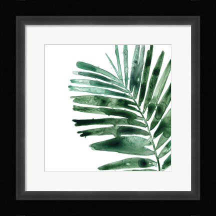 Framed Tropical Jewel VII Print