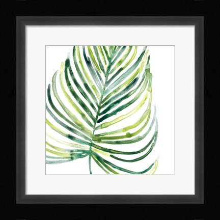 Framed Tropical Jewel IX Print