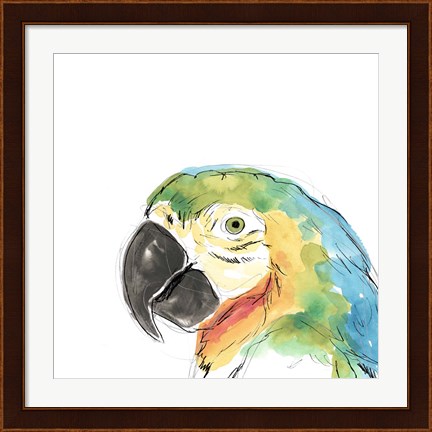 Framed Tropical Bird Portrait I Print