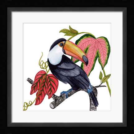 Framed Toco Toucan I Print