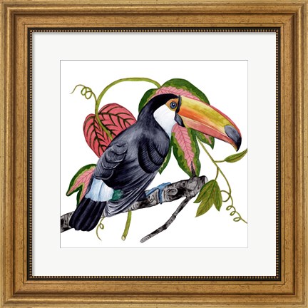 Framed Toco Toucan II Print