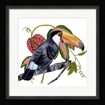 Framed Toco Toucan II Print