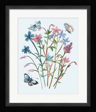 Framed Wildflowers Arrangements III Print