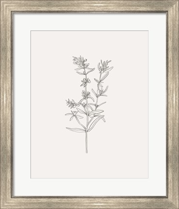 Framed Wild Foliage Sketch I Print