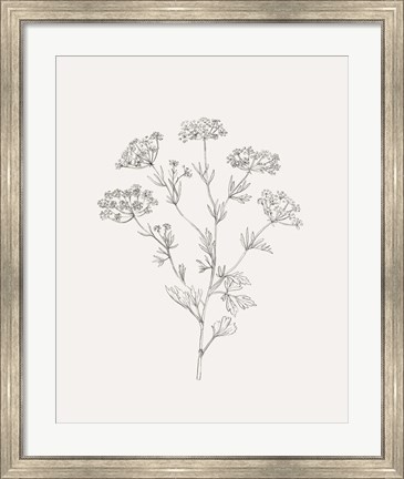 Framed Wild Foliage Sketch III Print