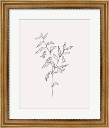 Framed Wild Foliage Sketch IV Print