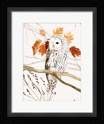 Framed Harvest Owl II Print