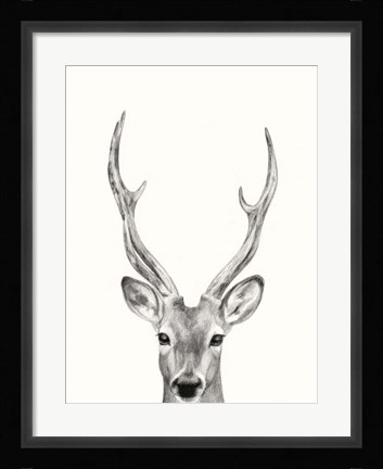 Framed Animal Mug IV Print