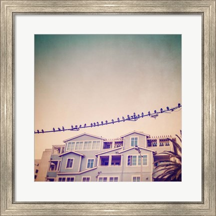 Framed Birds on Wires I Print