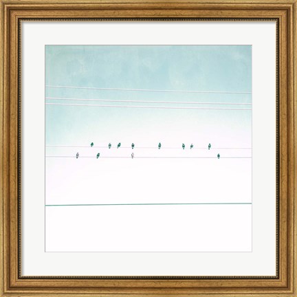 Framed Birds on Wires IV Print