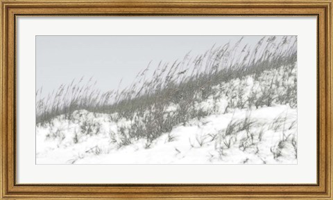 Framed Lush Dunes I Print