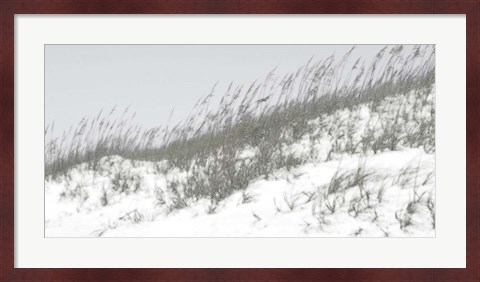 Framed Lush Dunes I Print