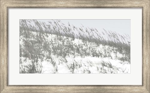 Framed Lush Dunes II Print