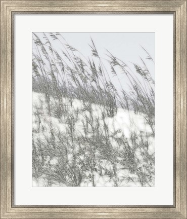Framed Lush Dunes III Print