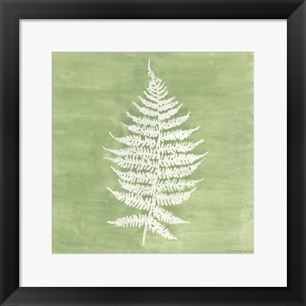 Framed Forest Ferns I Print
