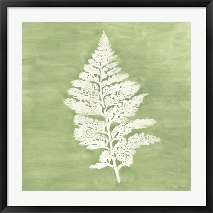 Framed Forest Ferns IV Print