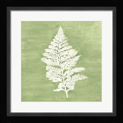 Framed Forest Ferns IV Print