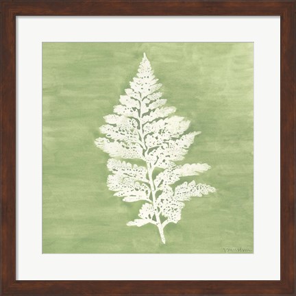 Framed Forest Ferns IV Print
