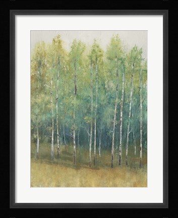 Framed Woodland Edge II Print