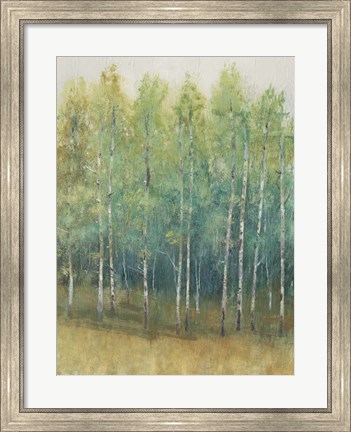 Framed Woodland Edge II Print