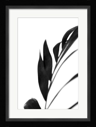 Framed Black Palms III Print