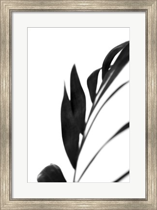 Framed Black Palms III Print