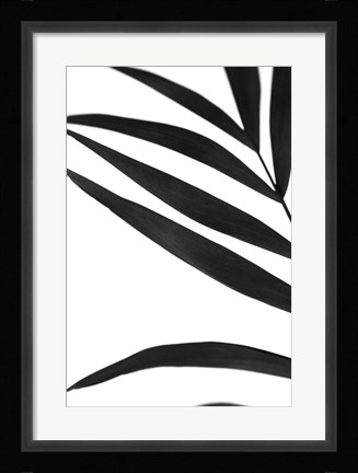 Framed Black Palms VI Print