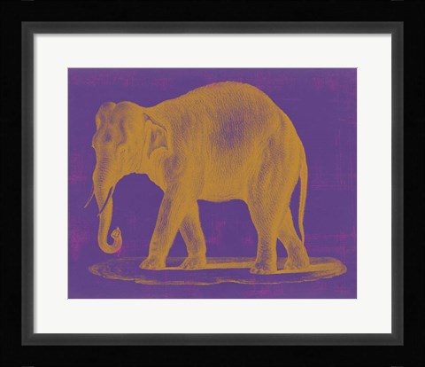 Framed Safari Pop II Print