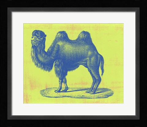 Framed Safari Pop IV Print