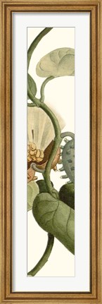Framed Turpin Exotic Botanical V Print
