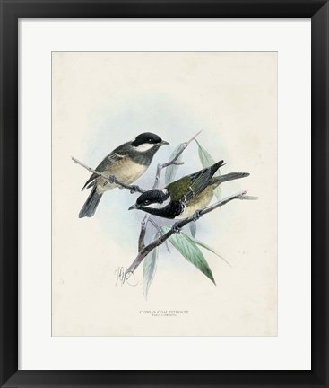 Framed Antique Birds VII Print