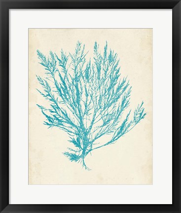 Framed Aquamarine Seaweed IV Print