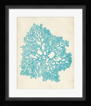 Framed Aquamarine Seaweed V Print