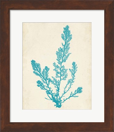 Framed Aquamarine Seaweed VI Print