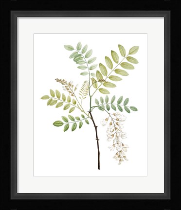 Framed Soft Green Botanical I Print