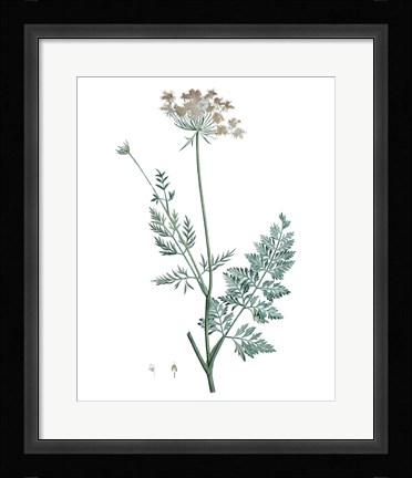 Framed Soft Green Botanical V Print