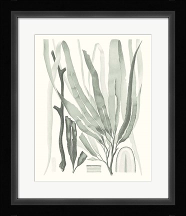 Framed Sage Green Seaweed II Print