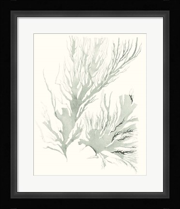 Framed Sage Green Seaweed IV Print