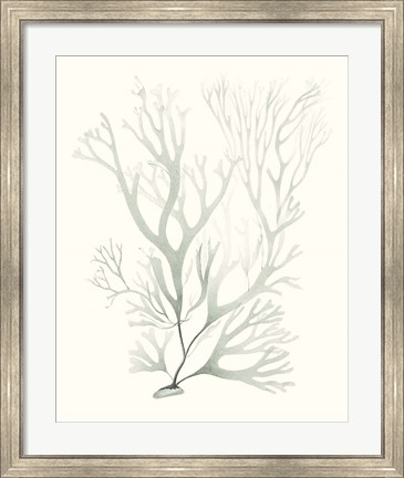 Framed Sage Green Seaweed V Print