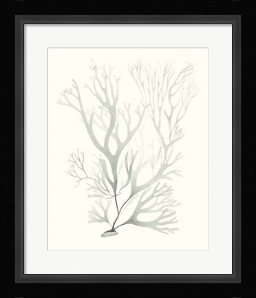 Framed Sage Green Seaweed V Print
