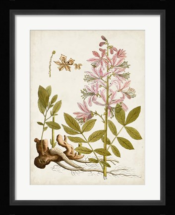 Framed Vintage Charm II Print