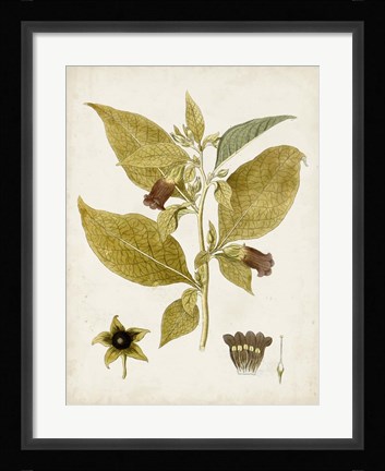 Framed Vintage Charm VI Print